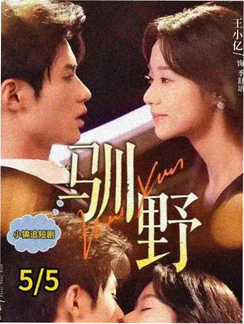 云影院热映推荐灯影摆渡人海报